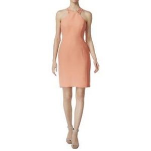 Calvin Klein Women's Strappy Halter Sheath Dress